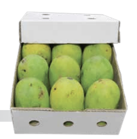 9 mangoes